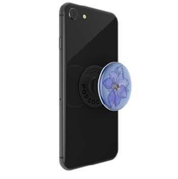 Pressed Flower White Daisy